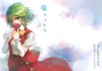 BUY NEW touhou - 193491 Premium Anime Print Poster